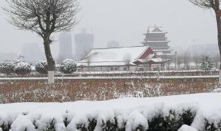陕西榆林出现雨雪降温天气