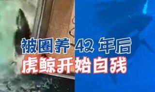 钟南山向湖北人民拜年