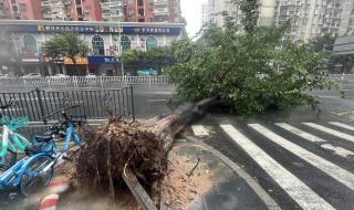 台风每小时10公里冲向福建