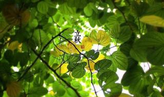 立秋节气吃什么食物最好 立秋吃啥立秋当天吃什么好