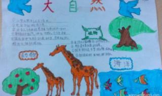 大自然真奇妙二年级作文