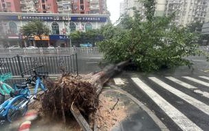 台风每小时超10公里冲向福建广东如何预防 台风每小时10公里冲向福建