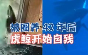钟南山给湖北人民拜年,你有什么想对家乡人说的话吗 钟南山向湖北人民拜年